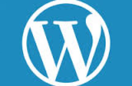 WordPress 4.6 güncellemesi Warning: ini_get_all() has been disabled for security reasons in