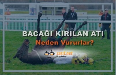 Bacağı Kırılan Atı Neden Vururlar?