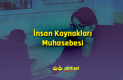 İnsan Kaynakları Muhasebesi Nedir?