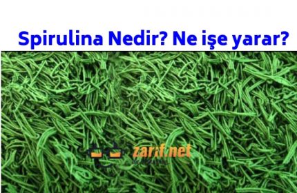 Spirulina faydaları nelerdir?