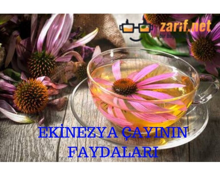 Ekinezya Çayının Faydaları Nelerdir?